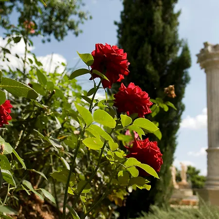 Farm stay Es Revellar Art - Adults Only Campos (Mallorca)
